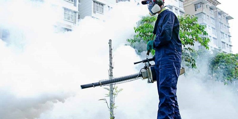 Book Fumigation Service Pest Control Ad in Newspaper 8 book fumigation service ad in newspaper