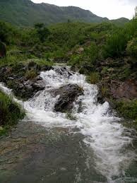 Haripur Newspaper Ad Booking KP Agency haripur newspaper ad booking